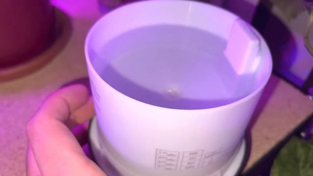 Aroma Diffuser Where Is Max Fill Line Better Homes & Gardens