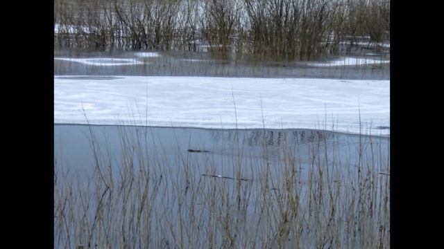 Ледоходное, апрельское за разные годы(у нас только в апреле начнётся)