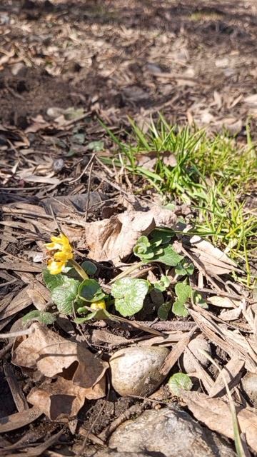 10.03.2025 #сегоднятак #сегодня #природа #nature #oggicosì #бүгін #oggi #hoy #今日 #today #오늘 #자연 #自然