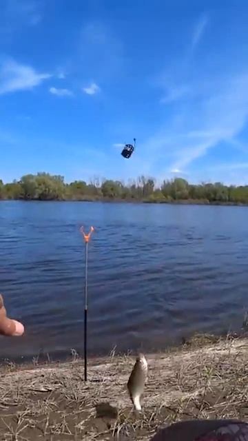 Хороший улов #shortsvideo  #youtube  #fishing  #рыбалка