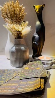 Прогноз на сегодня ⚡️