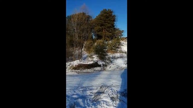 Вот моя деревня.