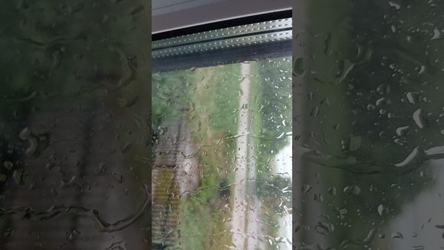 1000046172.mp4
