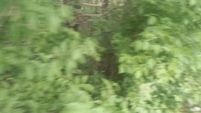 ИКРОМЕТ НАЧАЛСЯ И ПТИЧКИ ПОЮТ НА ОЗЕРЕ