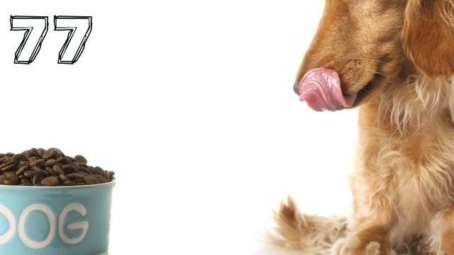 100 COSE CHE NON Sai CHE Non POTRAI CREDERE Siano VERE PARTE 2