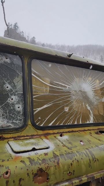 Необычная находка в лесу