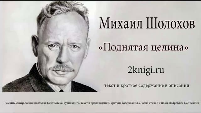 Михаил Шолохов "Поднятая целина" Книга 2 главы 1-9