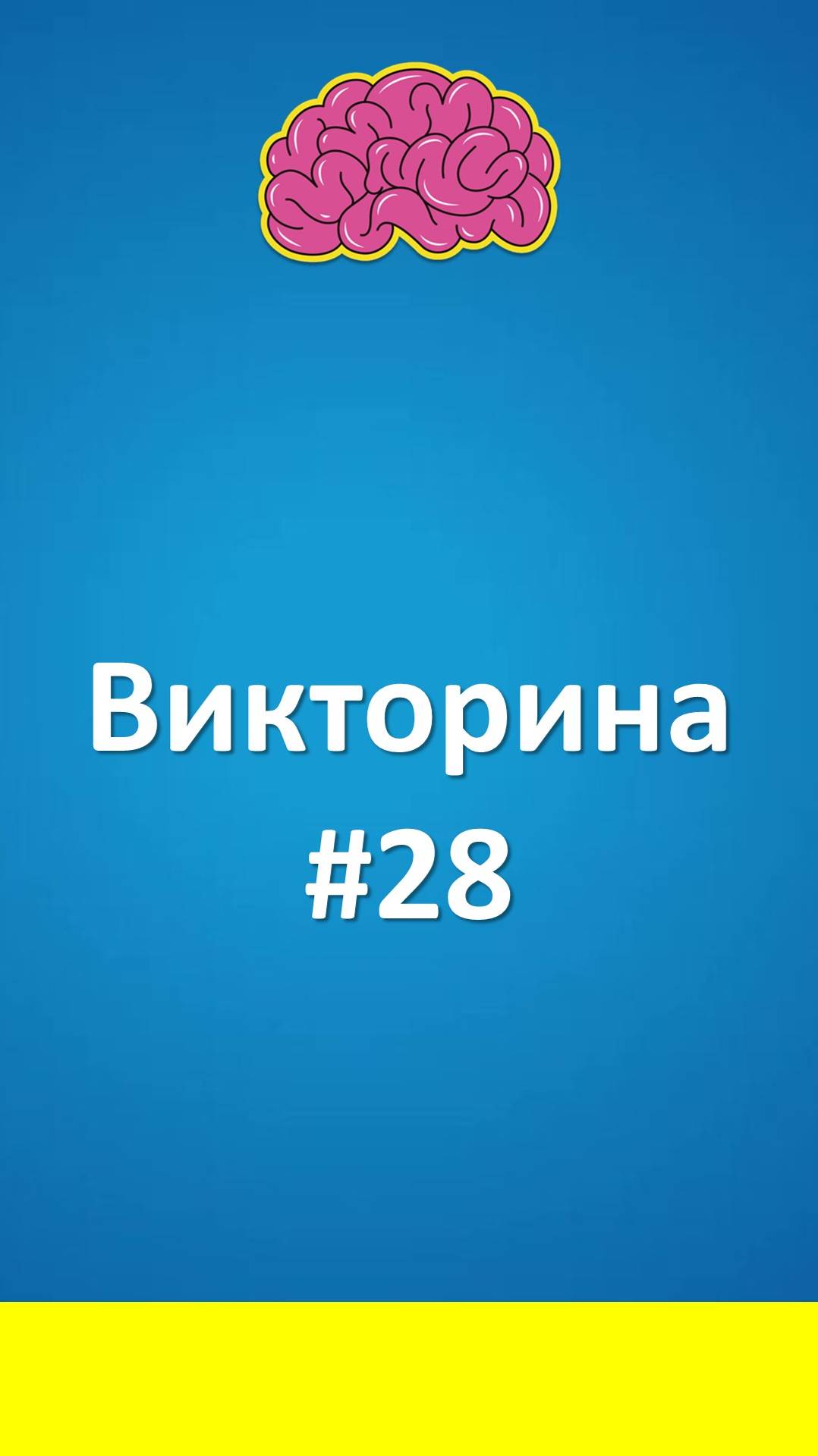 Викторина #28