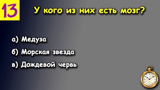 Проверьте насколько ХОРОШО вы УЧИЛИСЬ в ШКОЛЕ. Насколько стар ваш мозг_ #тесты 33
