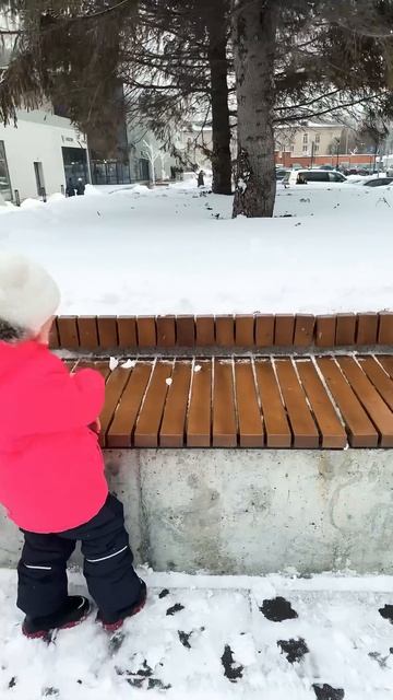 Я тут #shortvideo #юмор