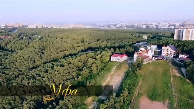 Презентация сети ресторанов «Максимилианс»