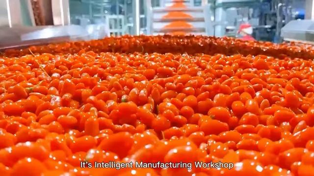 Why is lycium berry fruit juice agent more and more popular