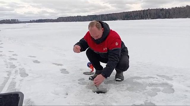 проверка жерлиц