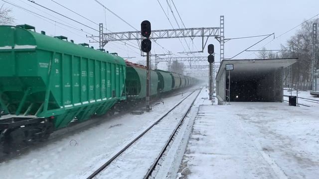 Тройка БТСов, пара Чехов и торжество Белорусских составов по зимней Сиверской