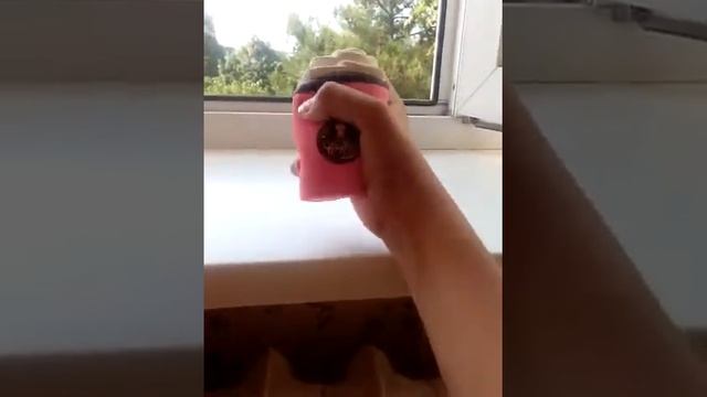 Мой сквиши советую купить