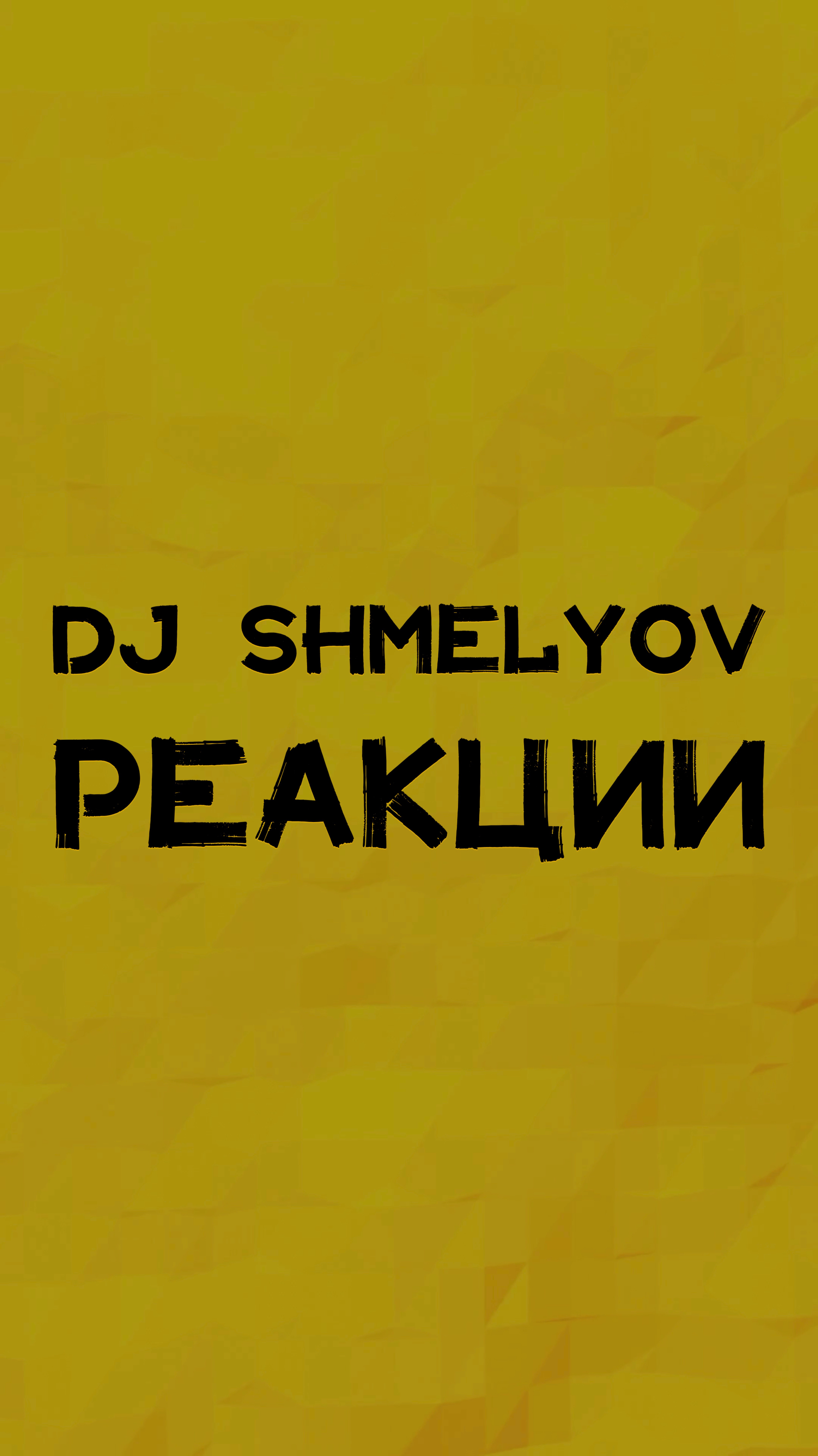 DJ SHMELYOV РЕАКЦИИ