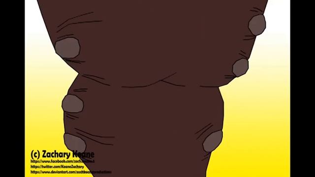 Hippo Transformation