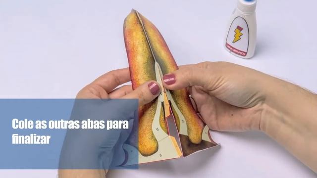 Paperssauros - Tupandactylus Imperator