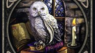 Срочное послание из мира мертвых: она колдует #магия #колдовство #любовь #отношения #жизнь