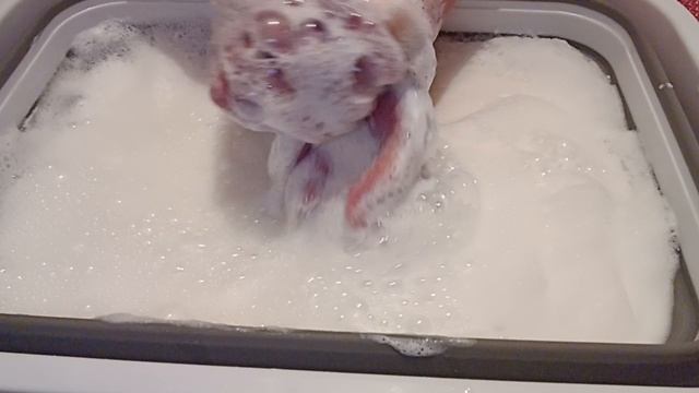 мыление двух мылок одно в ноль 👍