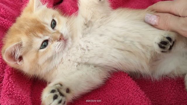 1000013683.mp4
