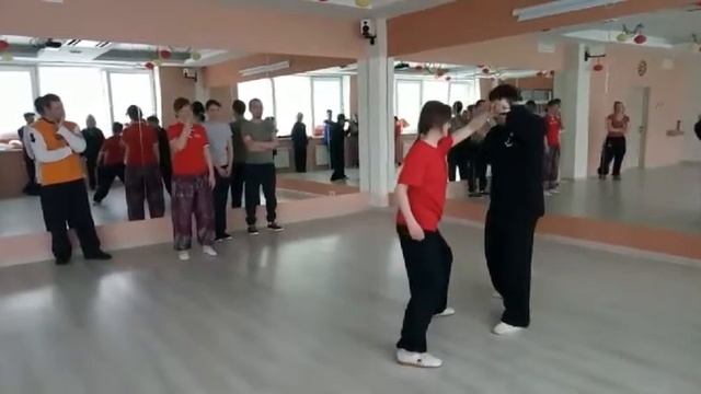 Туйшоу и цинна