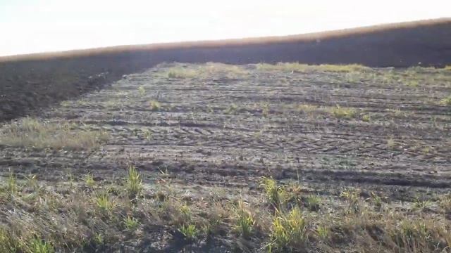 126 Оранка ЮМЗ 6. Осінь 2021