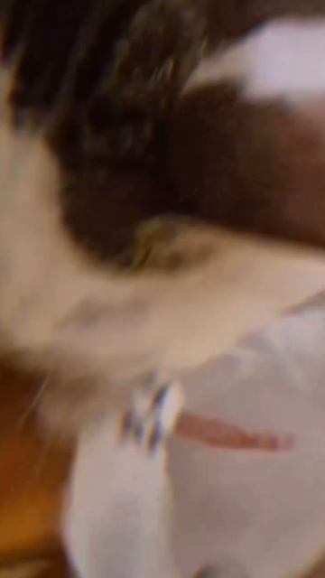 Уже не отдаст. Трек: Zewenti, LXZY DXZY, Alina Mayer - космос #meme #phonk #мем