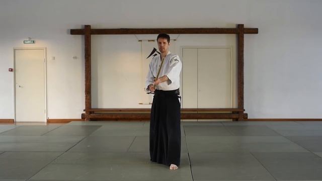 айкидо. базовые движения с дзе - цки гедан гаэси ｜ aikido. JO