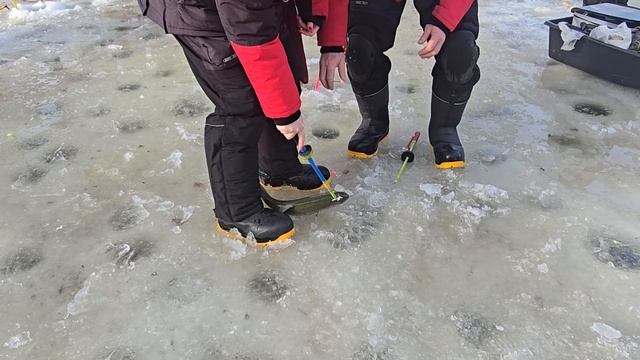 10.03.25 г. Парк отдыха водопад