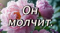 Он молчит.
