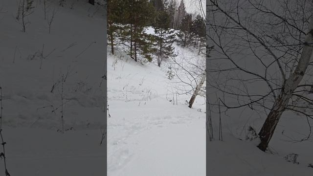 спуск