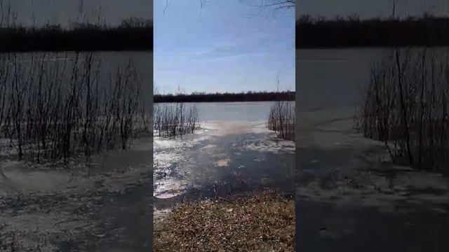 Ахтуба 10.03.2025 от егеря Гоши