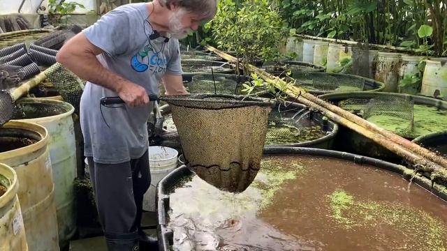 Day 7 of Recovery - Update on survivors & losses - Texas Winter Storm 2021