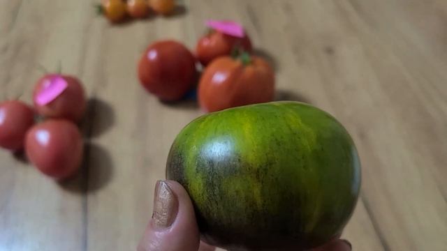 Красотульки мои в разрезе. 10 августа ( Продаю семена томатов )