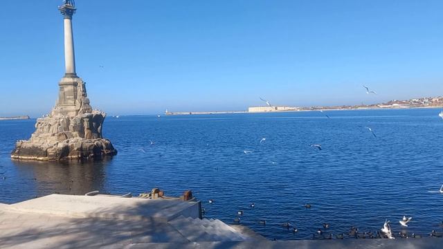 Весна. Птицы над морем. Севастополь 8 марта 25г.