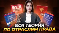 Отрасли права на ЕГЭ по обществознанию | Умскул