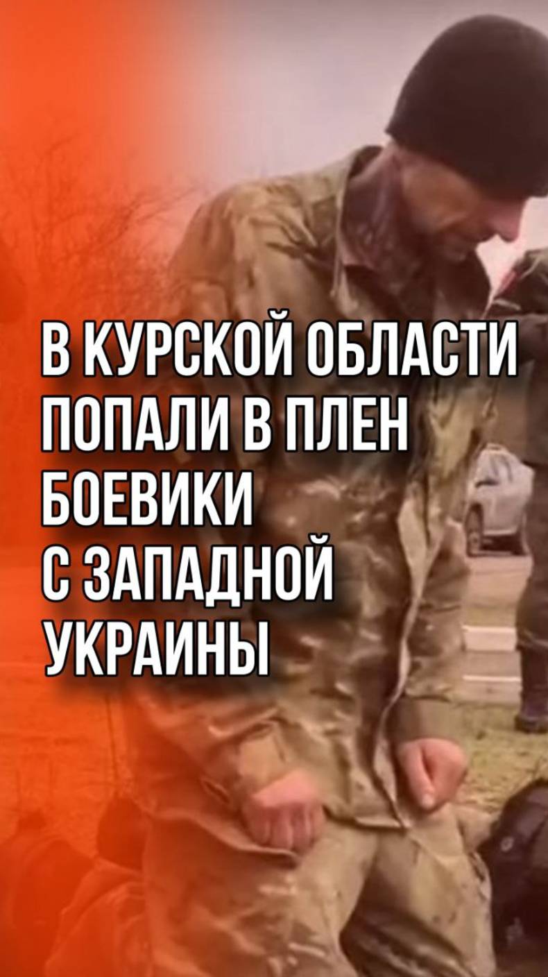 Под Суджей бойцы ВС России взяли в плен боевиков из Львовской области. Послушайте, что они говорят