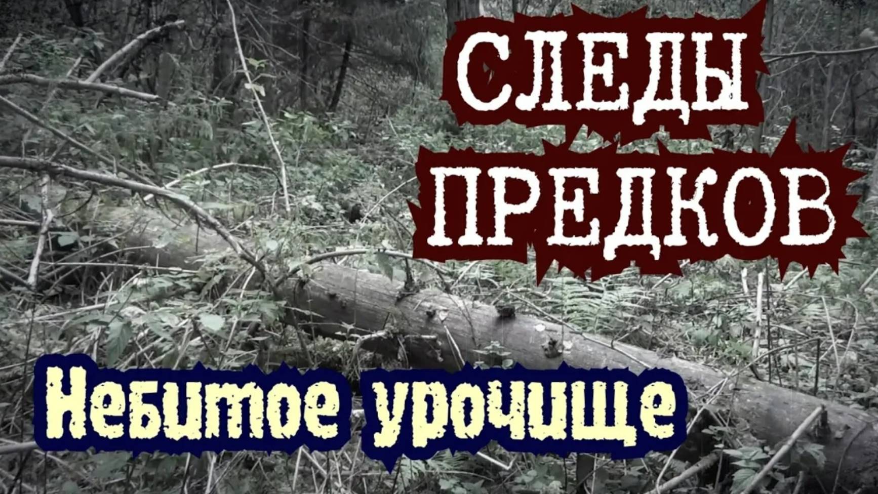 КОП НА НЕБИТОМ #УРОЧИЩЕ Место куда 100% надо вернуться...