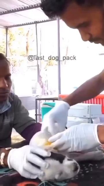 1000076166.mp4
