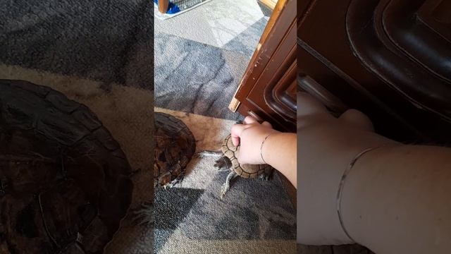 Коля танцует)))