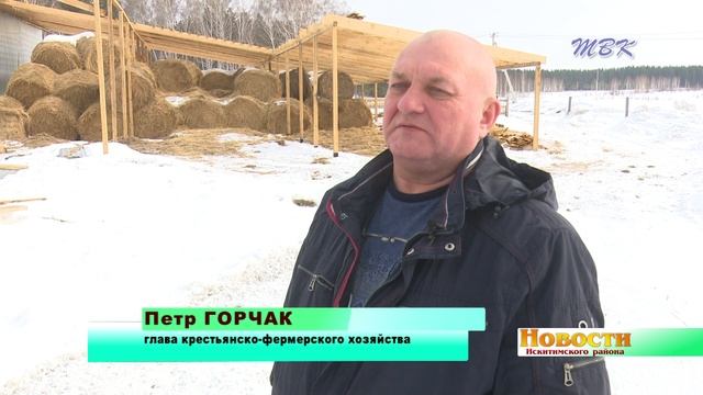 Три миллиона поддержки и три сына в помощь. Новое дело увлекло всю семью бердчанина Петра Горчака