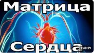 Матрица №6 Исцеление Сердца и Всей Кровеносной Системы Очень Редкая!