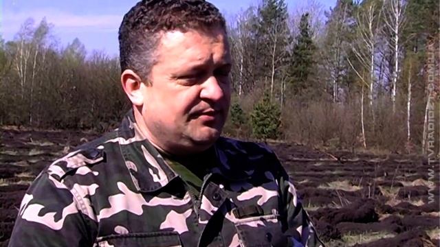 Журналістський ліс 2017