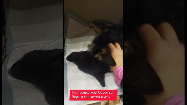 1000029090.mp4