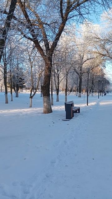 Зима