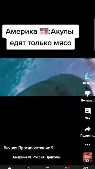 Мегалодон???....