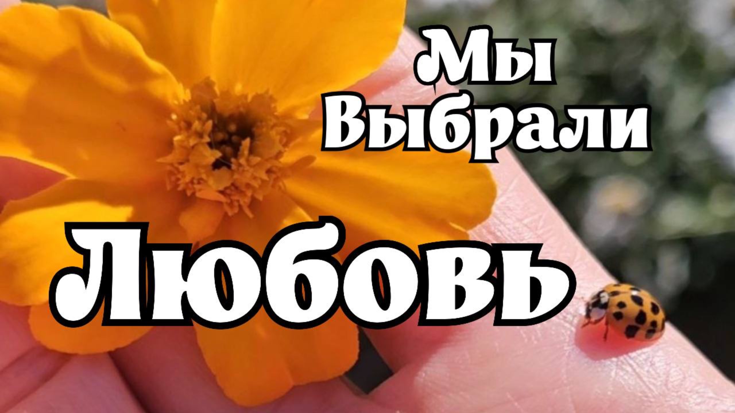 мультИфильм 
"Мы выбрали ЛЮБОВЬ"