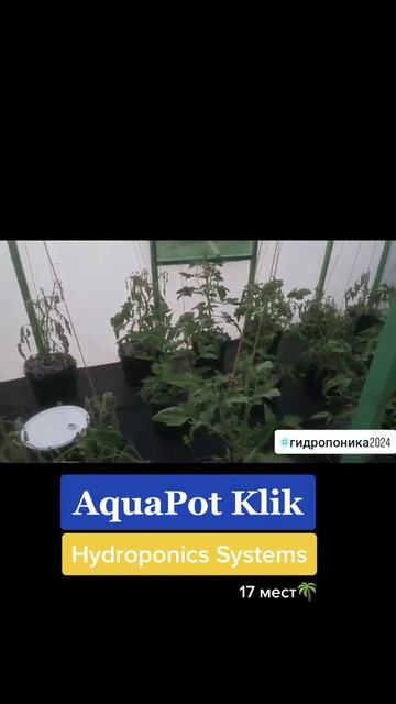 Гидропоника высокая температура воды