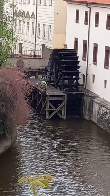 водяной охраняет водяную мельницу